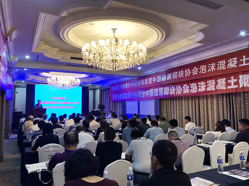 《中國建筑砌塊協(xié)會泡沫混凝土砌塊分會》領(lǐng)導(dǎo)人及會員單位蒞臨考察-10-20230905083032